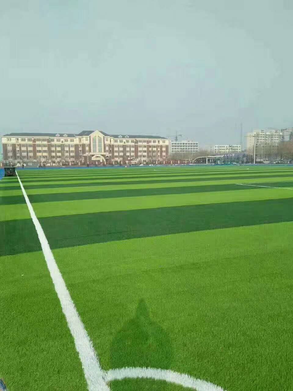 宣城市塑胶跑道仿真草坪 - 哪里好